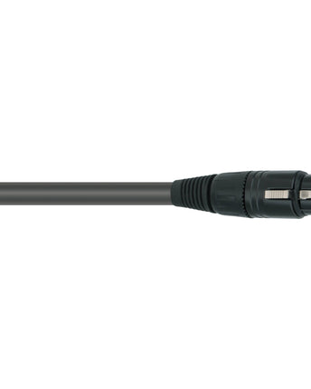Wireworld Equinox 8 Interconect, 2 RCA - 2 RCA