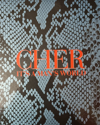 Disc vinil Cher – It's A Man's World - LP4