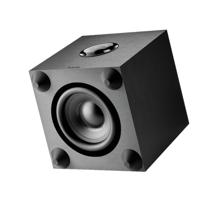 Focal Cub EVO