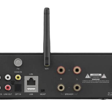 Arylic A100