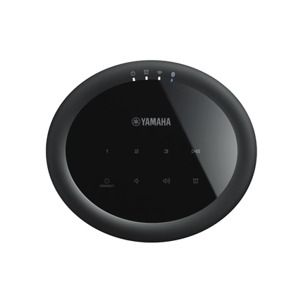 Yamaha WX-021 (MusicCast 20)
