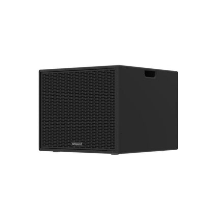 ArtSound AS1000