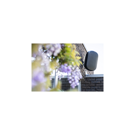 ArtSound On Wall ASW800