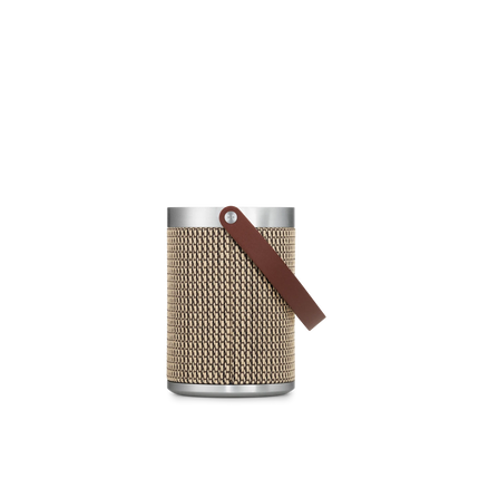 Bang & Olufsen Beosound A5