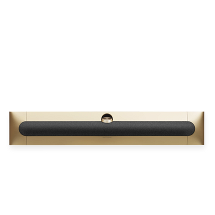 Bang & Olufsen Beosound Premiere
