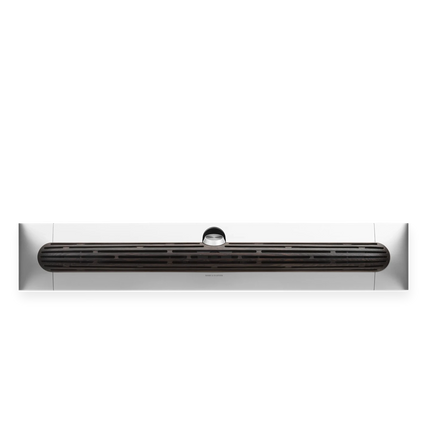 Bang & Olufsen Beosound Premiere