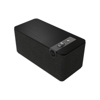 Ebony