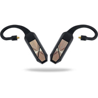 iFi Audio GO pod