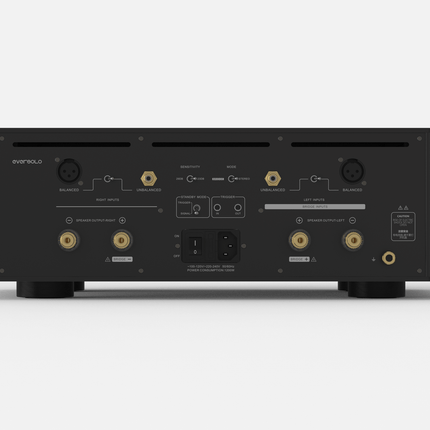 EverSolo AMP-F10