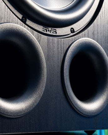 SVS PB-3000 R|Evolution, detaliu cu porturile de bas