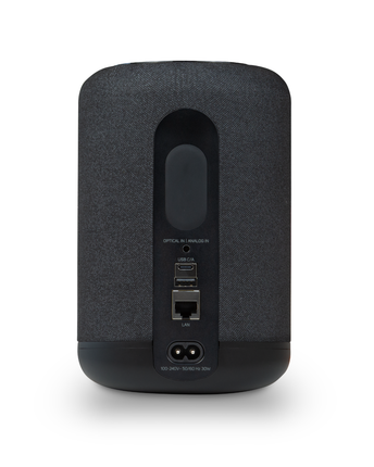 Bluesound PULSE FLEX P130