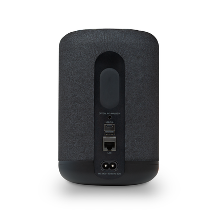 Bluesound PULSE FLEX P130