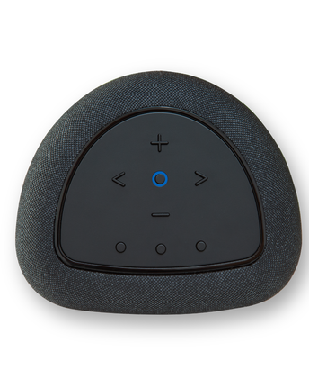 Bluesound PULSE FLEX P130