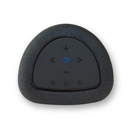 Bluesound PULSE FLEX P130
