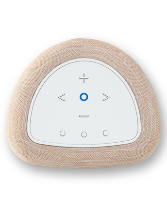 Bluesound PULSE FLEX P130