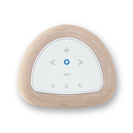 Bluesound PULSE FLEX P130