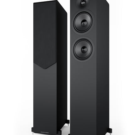 Acoustic Energy AE309.2