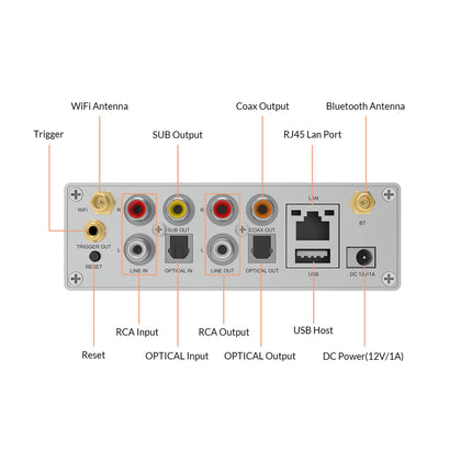 Arylic S50 Pro+
