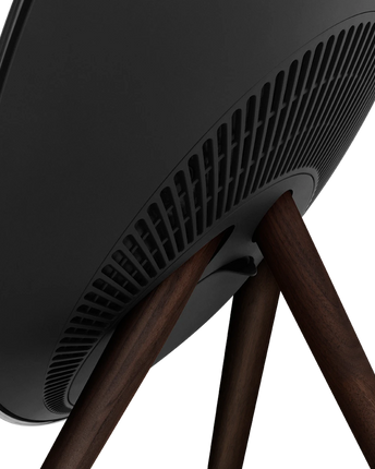 Bang & Olufsen Beosound A9 5th Gen