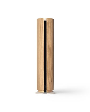 Bang & Olufsen Beosound Emerge