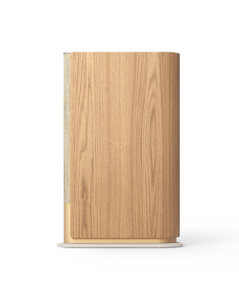 Bang & Olufsen Beosound Emerge