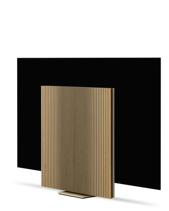 Bang & Olufsen Beovision Harmony 65" wallmount