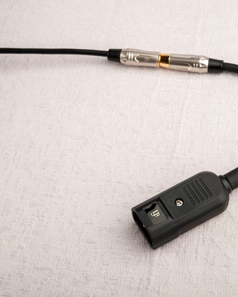 iFi Audio Groundhog+