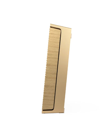 Bang & Olufsen Beosound Level