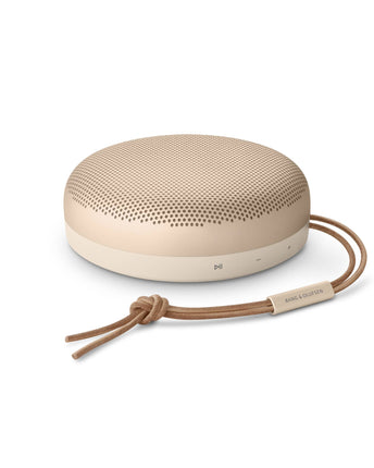 Bang & Olufsen Beosound A1 2nd Gen