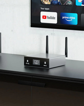 Arylic S50 PRO+