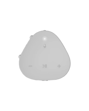 Sonos Roam