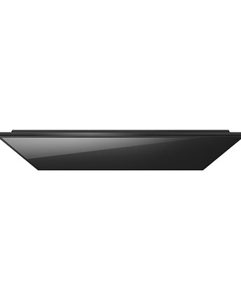 Sony Bravia FW-100BZ40J