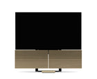 Bang & Olufsen Beovision Harmony 83