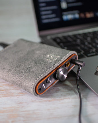 iFi Audio hip-case